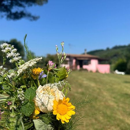 Agriturismo Campolungo Sant'Ermo Esterno foto