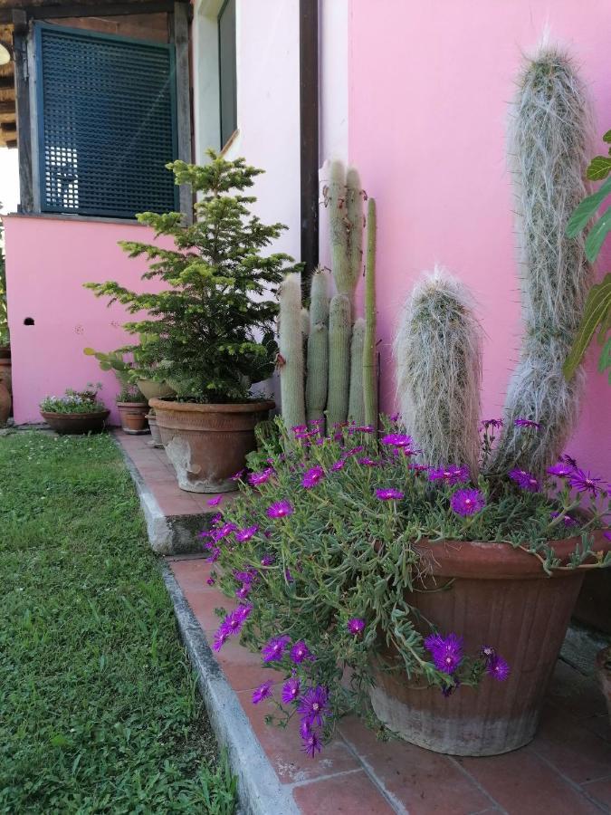 Agriturismo Campolungo Sant'Ermo Esterno foto