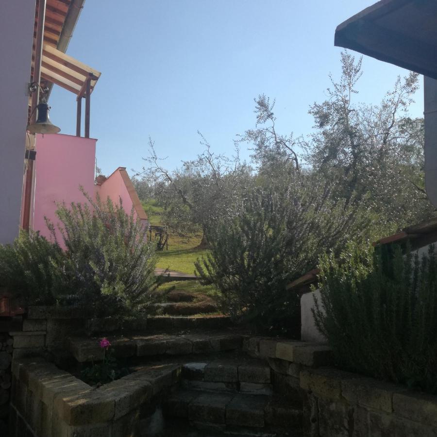 Agriturismo Campolungo Sant'Ermo Esterno foto