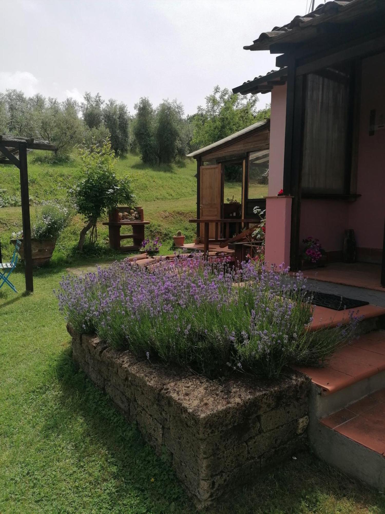 Agriturismo Campolungo Sant'Ermo Esterno foto