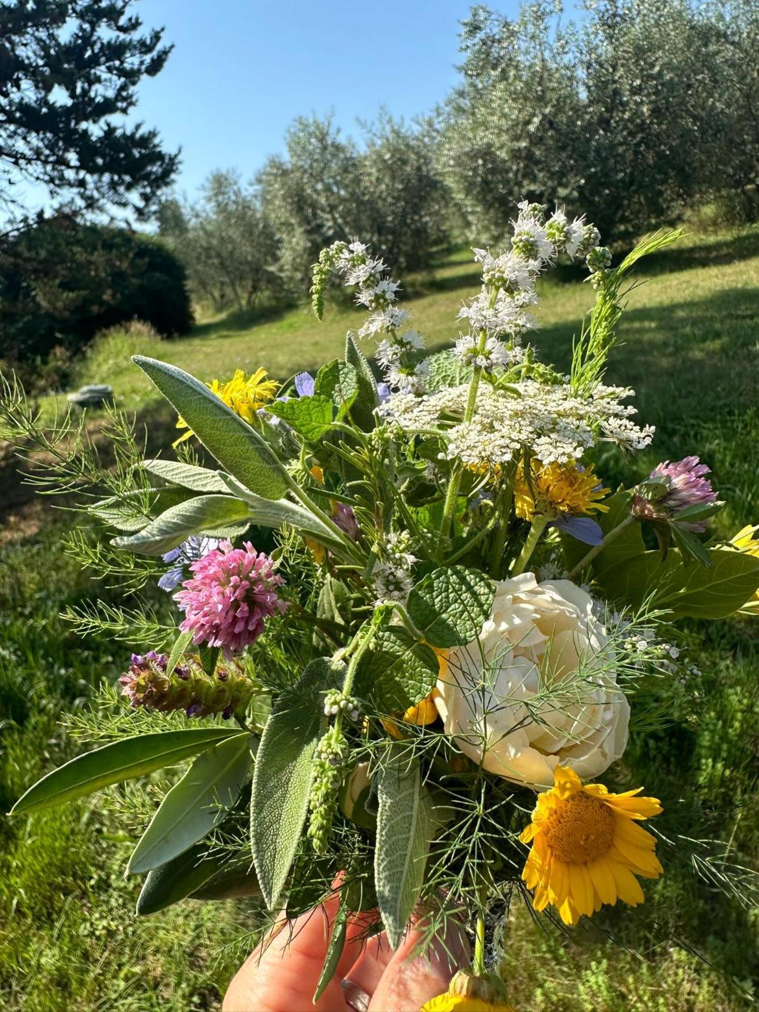 Agriturismo Campolungo Sant'Ermo Esterno foto
